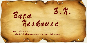 Bata Nešković vizit kartica